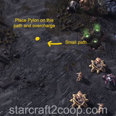 Player 2 Fast Expand on Chain of Ascension