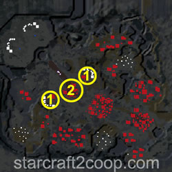 Chain of Ascension Zerg Essence Farming Order