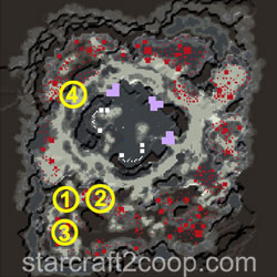 Dead of Night Terran Essence Farming Order