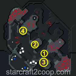 Lock & Load Zerg Essence Farming Order