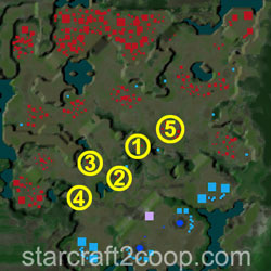 Mist Opportunities Terran Essence Farming Order