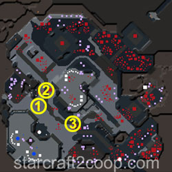 Parcel & Parcel Terran Essence Farming Order