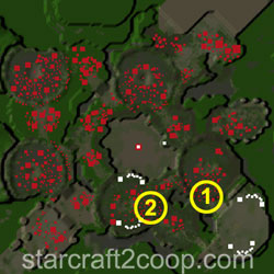 Scythe of Amon Essence Farming Order