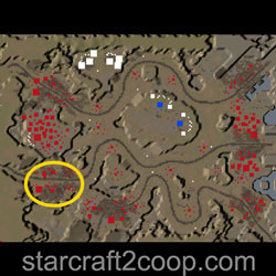 bottombaselong Minimap