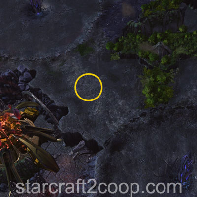 Northern Spawn Point